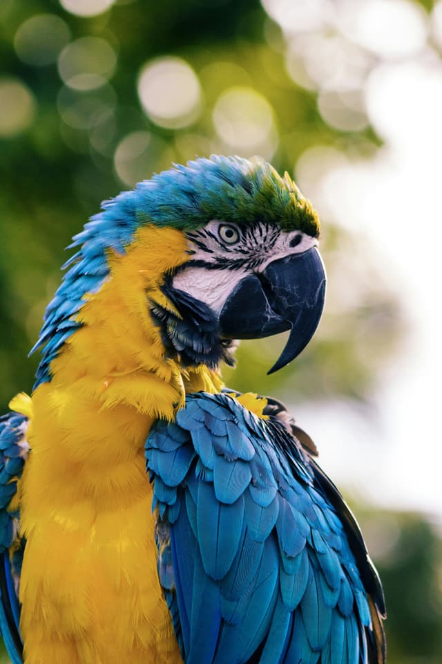 AI image generator